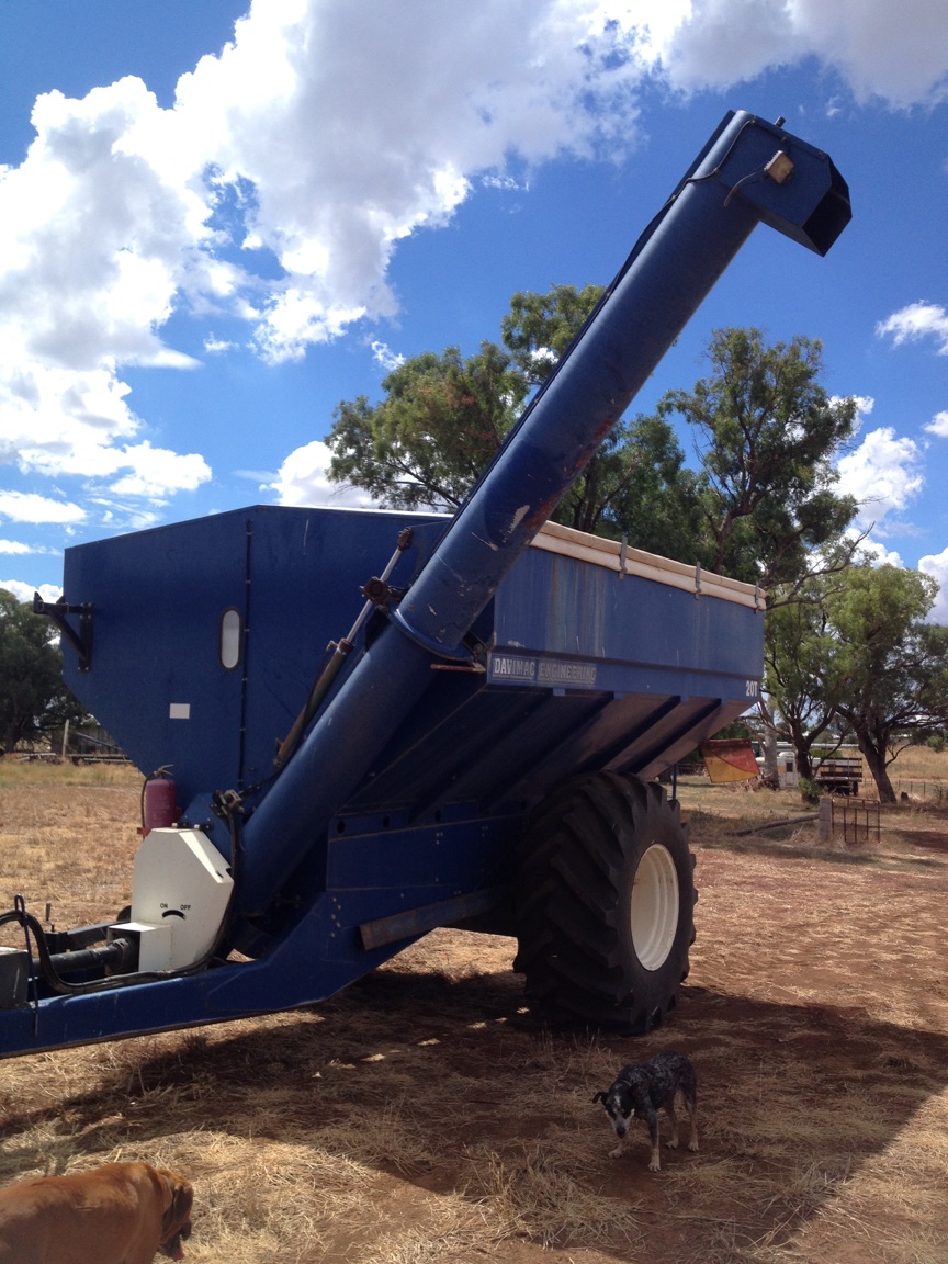 Davimac 20/mt Chaser Bin Machinery & Equipment Chaser Bins